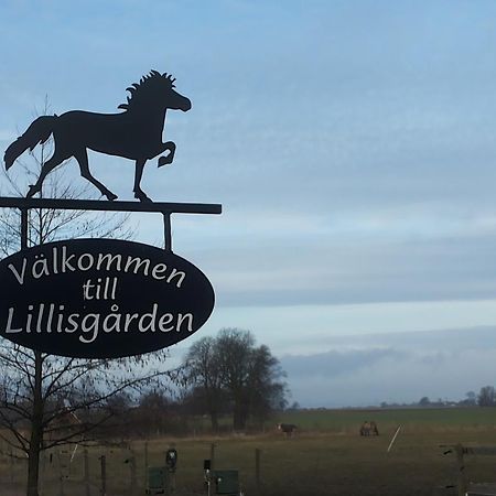 Laegenhet Lillisgarden Casa de hóspedes Vallåkra Exterior foto