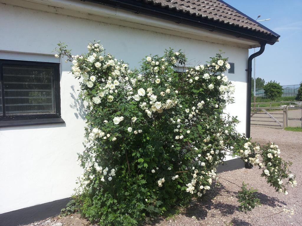 Laegenhet Lillisgarden Casa de hóspedes Vallåkra Exterior foto