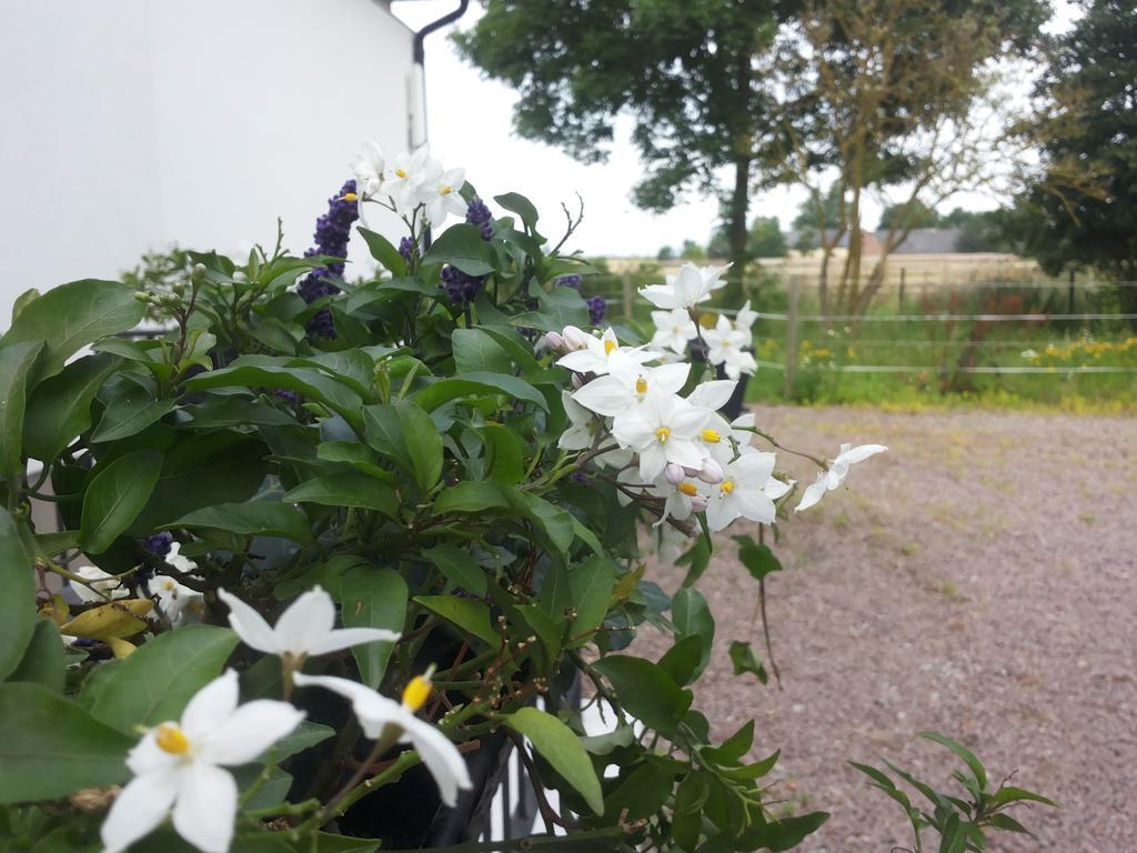 Laegenhet Lillisgarden Casa de hóspedes Vallåkra Exterior foto
